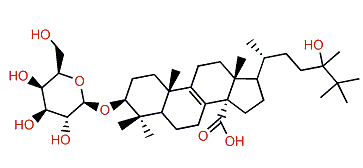 Eryloside R